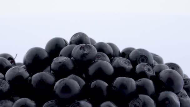 Macro of several blueberries rotating on the on the turntable isolated on the white background. Close up. — Stock Video