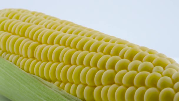 Un maíz dulce parcialmente pelado. Girando en el tocadiscos. Aislado sobre el fondo blanco. De cerca. Macro . — Vídeo de stock