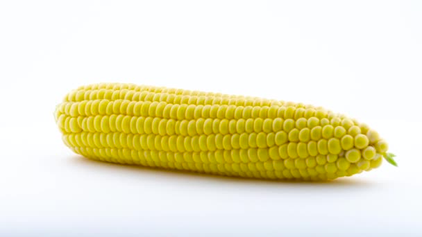 One fully peeled fresh sweet corn. Rotating on the turntable. Isolated on the white background. Close up. Macro. — Stock Video