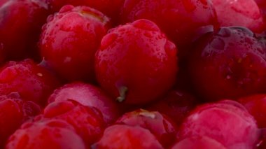 Lingonberries yığını bir makro. Üzerinde dönen pikap üzerinde. Su damlaları. Portre.