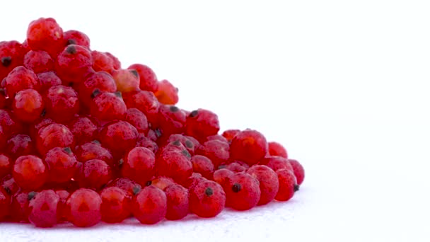 Mezzo telaio di un mucchio di ribes rosso ruotante sul giradischi isolato sullo sfondo bianco. Chiudete. Macro. Gocce d'acqua . — Video Stock