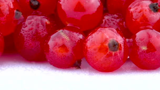 Mehrere rote Johannisbeeren, die sich auf dem Plattenteller drehen, isoliert auf weißem Hintergrund. Nahaufnahme. Makro. Wassertropfen. — Stockvideo