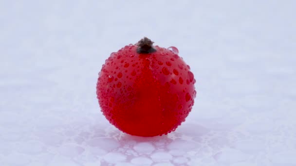 Jedna cała Czerwona porzeczka berry w centrum kadru. Obracanie. Na białym tle na białym tle. Z bliska. Makro. Krople wody. — Wideo stockowe