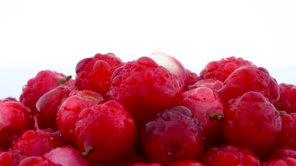 Stapel lingonberries draaien op de op de draaitafel geïsoleerd op de witte achtergrond. Close-up. Waterdruppels. — Stockvideo