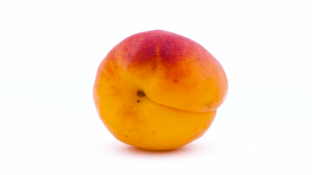 Целый фрукт абрикоса. Вращение на вращающемся столе. Изолированный на белом фоне. Закрывай. Макро . — стоковое видео