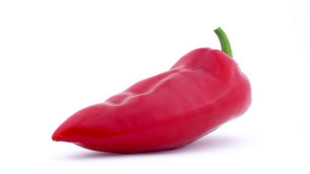 One long red pepper. Rotating on the turntable. Isolated on the white background. Close up. Macro. — Stock Video