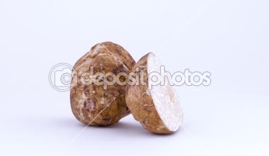 Beyaz arka plan üzerinde izole pikap üzerinde dönen büyük beyaz trüf mantar tamamlayan bir başka. Portre. Makro.