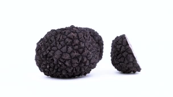 Deux champignons truffiers noirs entiers et demi tournant sur la plaque tournante isolée sur le fond blanc. Gros plan . — Video
