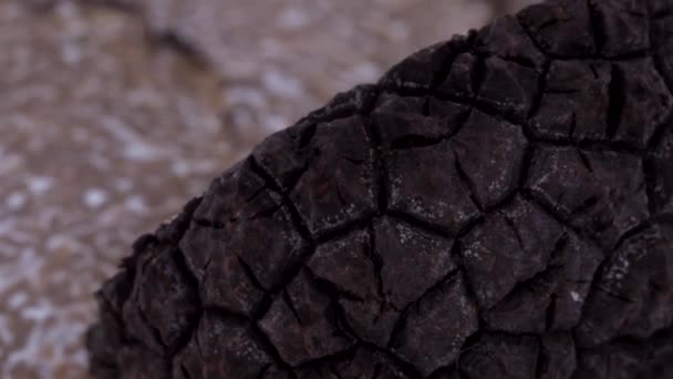 Super macro shot of a black truffle peel rotating on the on the turntable. Blurred slices on the background. Isolated on the white background. Closeup. — Stock Video