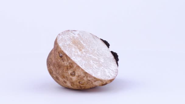La moitié d'une truffe blanche et la moitié d'une truffe noire. Rotation sur la plaque tournante. Isolé sur le fond blanc. Gros plan. Macro . — Video