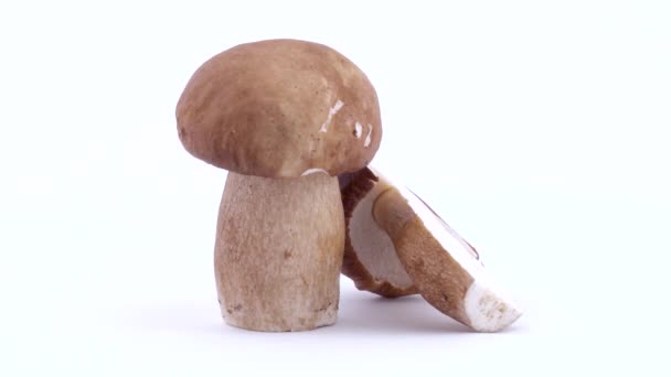 One whole and a half cross-section of cep mushrooms standing on the turntable. Rotating. Isolated on the white background. Closeup. Macro. — Stock Video