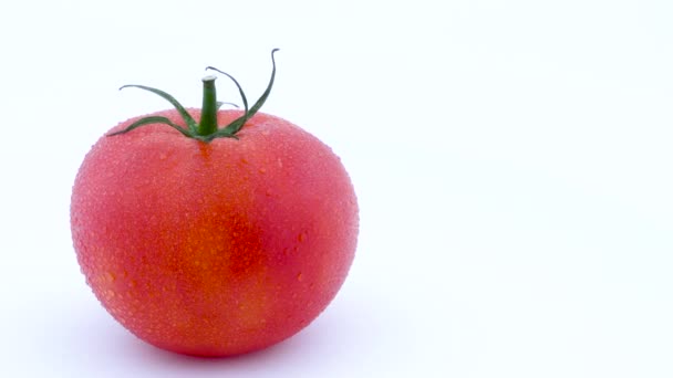 一个全红的大番茄, 有水滴。在转盘上慢慢旋转。在白色背景上被隔离。左半帧。特写。宏观. — 图库视频影像