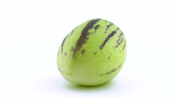 Μία ολόκληρη πράσινη pepino με σταγόνες νερού περιστρέφεται στο πικάπ απομονώνονται σε λευκό φόντο. Γκρο πλαν. Μακροεντολή. — Αρχείο Βίντεο