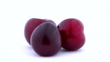 Üç büyük mor maynard Erik pikap üzerinde döner. Beyaz arka plan üzerinde izole. Portre.