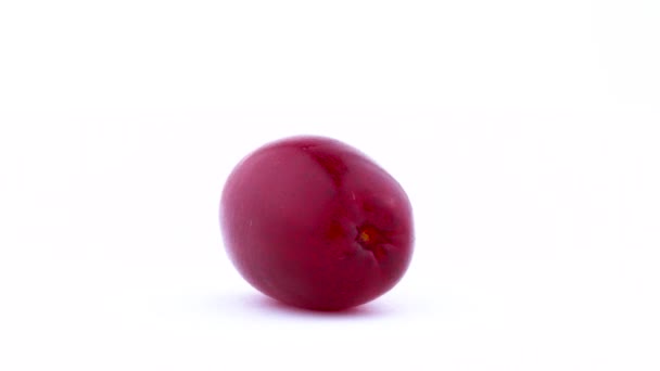 Makro-fotografering av en en hel karneol cherry dogwood frukter med vatten droppar. Roterande på skivtallriken. Isolerad på den vita bakgrunden. Närbild. — Stockvideo