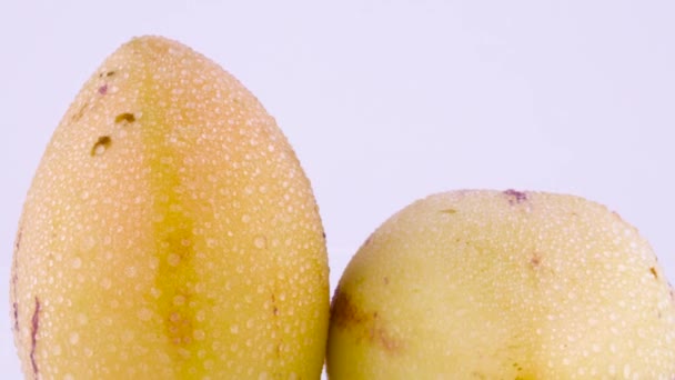 Макросъемка верхней части двух зрелых желтых фруктов пепино с капельками воды. Медленно вращается на вращающемся столе, изолированном на белом фоне. Крупный план . — стоковое видео