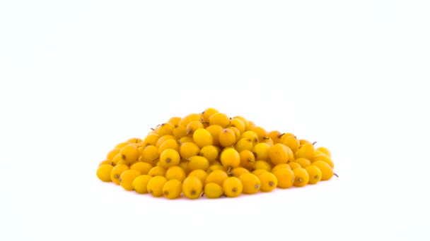 Pile of orange yellow common sea buckthorn berries rotating on the turntable isolated on the white background. Side view. Close up. — Stock Video