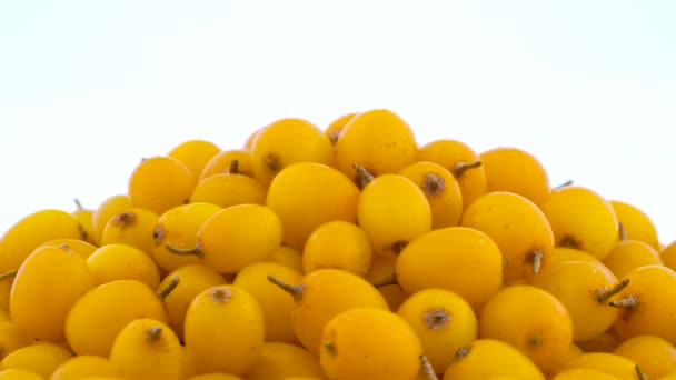 Macro-opnamen van bovenste gedeelte van een oranje geel gemeenschappelijke zee duindoorn bessen. Langzaam draaien op de draaitafel geïsoleerd op de witte achtergrond. Close-up — Stockvideo