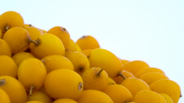 Makro střelbu z oranžová žlutá společné Plody rakytníku. Pravá strana haldy. Otočení na točnu izolovaných na bílém pozadí. Detail — Stock video