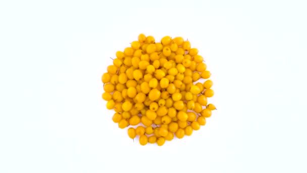 Vista dall'alto di arancio giallo comune bacche di olivello spinoso con gocce d'acqua. Ruotando sul giradischi isolato sullo sfondo bianco. Primo piano. Macro . — Video Stock