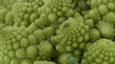 Makro çekim mini romanesco brokoli çiçek tomurcuğu. Yavaş yavaş pikap üzerinde döner. Yakın çekim.