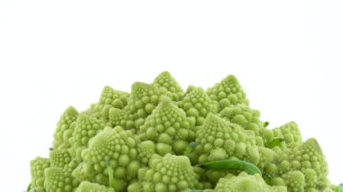 Yakın çekim mini romanesco brokoli üst kısmı çekim. Beyaz arka plan üzerinde izole pikap üzerinde yavaş yavaş döner. Yakın çekim.