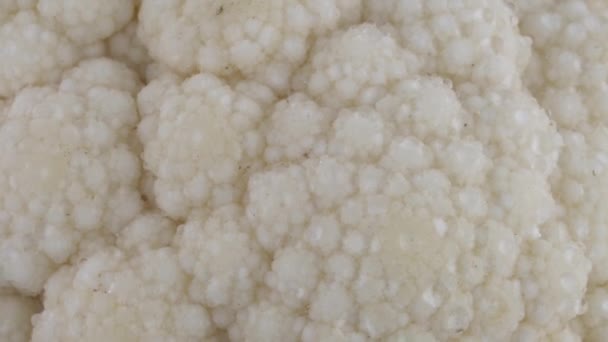 Macro shooting of whole mini white cauliflower head. Slowly rotating. Close-up. — Stock Video