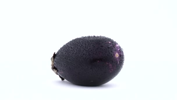 One whole purple mini eggplant with water drops. Rotating on the turntable. Isolated on the white background. Close-up. Macro. — Stock Video