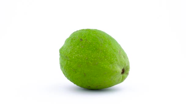 En hela apple guava frukt med vatten droppar. Roterande på skivtallriken isolerat på den vita bakgrunden. Närbild. Makro. — Stockvideo