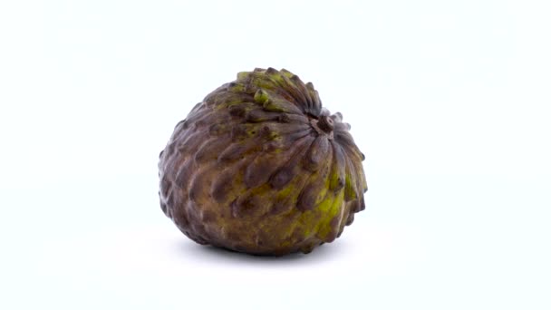 One whole mature annona fruit. Rotating on the turntable isolated on the white background. Close up. Macro. — Stock Video