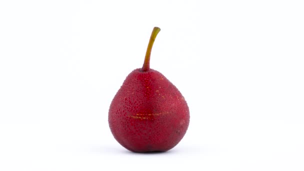 Jeden cały czerwony d'anjou pear z wody spada, obracanie na obrotnicy na białym tle na białym tle. Szczelnie-do góry. Makro. — Wideo stockowe