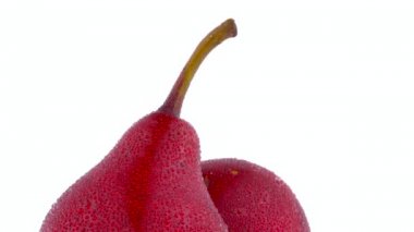 İki bütün kırmızı d'anjou armut su ile üst kısmının makro çekim bırakır. Armut kök yakın çekim. Beyaz arka plan üzerinde izole pikap üzerinde yavaş yavaş dönen.