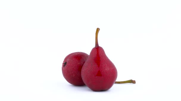 Two whole red d'anjou pears with water drops rotating on the turntable isolated on the white background. Close-up. Macro. — Stock Video