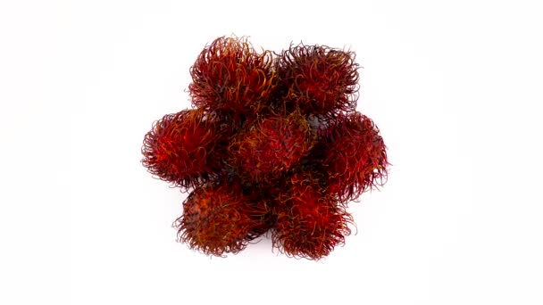 Draufsicht von oben auf einen Haufen roter Rambutan-Früchte. Drehen auf der Drehscheibe. isoliert auf weißem Hintergrund. Nahaufnahme. Makro. — Stockvideo