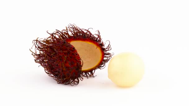Ein geschältes Rambutan-Fruchtfleisch und seine behaarte Haut. Drehen auf der Drehscheibe isoliert auf weißem Hintergrund. Nahaufnahme. Makro. — Stockvideo