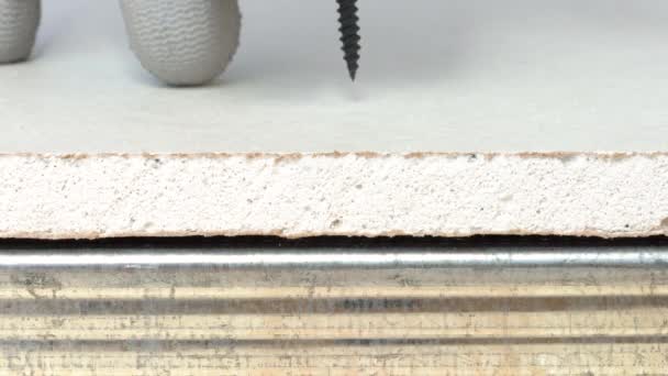 Closeup of electric powered screwdriver twisting a drywall to the light-gauge cold formed steel profile using a black self-tapping screw. Copy space. — Stock Video