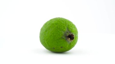 Beyaz arka plan üzerinde izole pikap üzerinde dönen bir bütün feijoa meyve su ile bırakır. Yakın çekim. Makro.