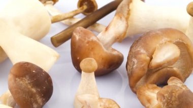 Birkaç shiitake ve eryngii mantar. Ayakta ve yalan. Beyaz arka plan üzerinde izole pikap üzerinde döner. Yakın çekim.