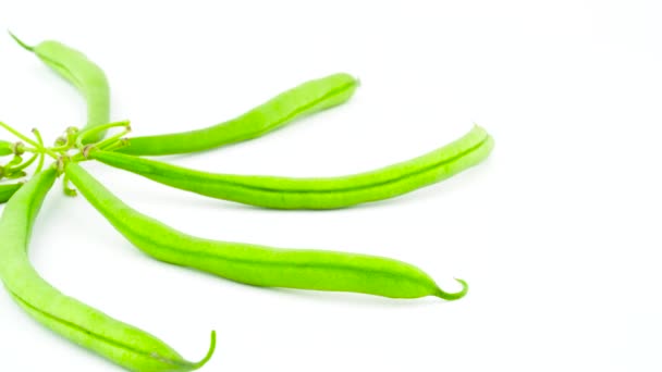 Side View Star Shaped Fresh Green Beans Rotating Turntable Isolated — Stock Video