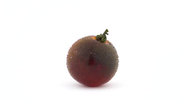Een Hele Indigo Roos Tomaat Met Waterdruppels Donkerrood Draaien Draaitafel — Stockvideo