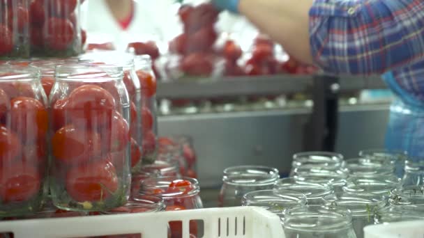 As mãos do funcionário na linha de fábrica colocam jarros de vidro com tomates na linha de produção de tomates preservados . — Vídeo de Stock