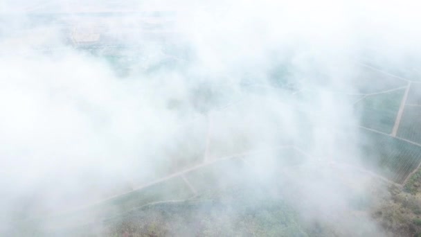 Gyönyörű helikopter Nézd repül át a fehér felhők előre a zöldes szőlőültetvények. Légifelvételek. — Stock videók