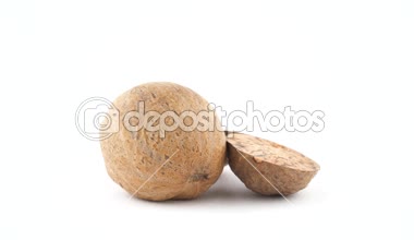 Bir bütün ve tamamlayan bir başka küçük Hindistan cevizi. Beyaz arka plan üzerinde izole pikap üzerinde hızlı bir şekilde döner. Yakın çekim. Makro.