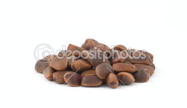 Ham yığın çam fıstığı kabuklu. Beyaz arka plan üzerinde izole pikap üzerinde döner. Yakın çekim. Makro.