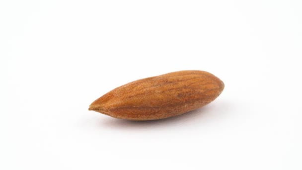 One Peeled Almond Nut Slowly Rotating Turntable Isolated White Background — Stock Video