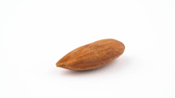 One Peeled Almond Nut Rotating Turntable Isolated White Background Close — Stock Video