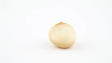 Bir bütün macadamia nut beyazlatılmış. Beyaz arka plan üzerinde izole pikap üzerinde yavaş yavaş döner. Yakın çekim. Makro.