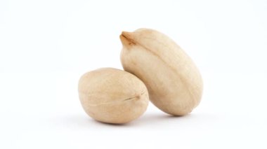 Bir kabuk içinde iki pekan fındık. Beyaz arka plan üzerinde izole pikap üzerinde döner. Yakın çekim. Makro.