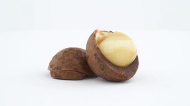 Kabuk ve çekirdek ile kırık macadamia nut. Beyaz arka plan üzerinde izole pikap üzerinde yavaş yavaş döner. Yakın çekim. Makro.