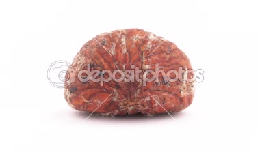 Sarı-beyaz yenilebilir kısmı ile bir bütün soyulmuş tatlı kestane. Beyaz arka plan üzerinde izole pikap üzerinde yavaş yavaş döner. Yakın çekim. Makro.